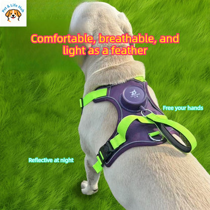 Arnés Retráctil con Colete Reflectivo para Perros